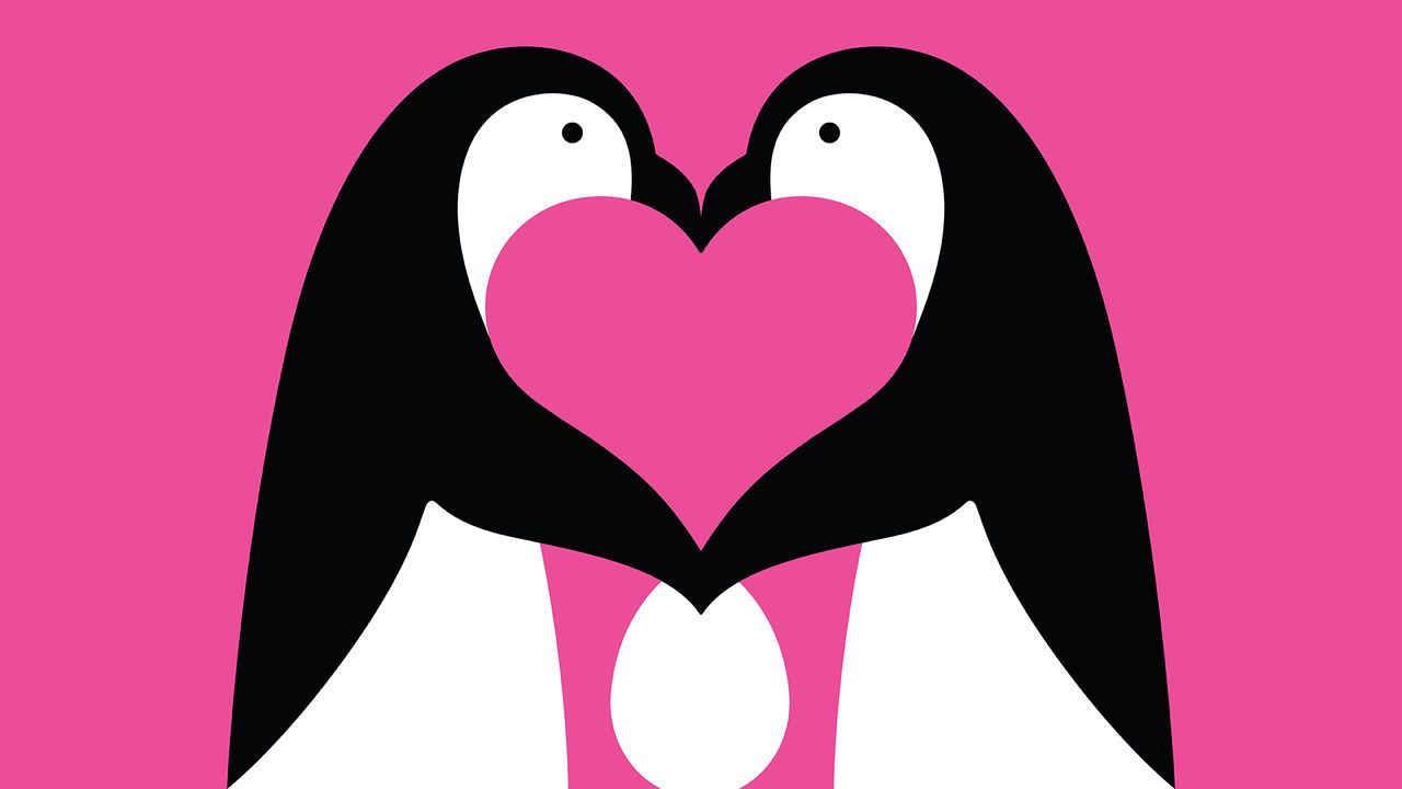 An illustration of two penguins facing each others with beaks together and flippers touching an egg. The negative space between them forms a heart.
